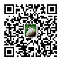 除塵設(shè)備_脫硝脫硫設(shè)備_污水處理_煙氣粉塵治理_唐山鉑銳環(huán)?？萍加邢薰?/></div>
      <!--二維碼結(jié)束-->
      <div   id=